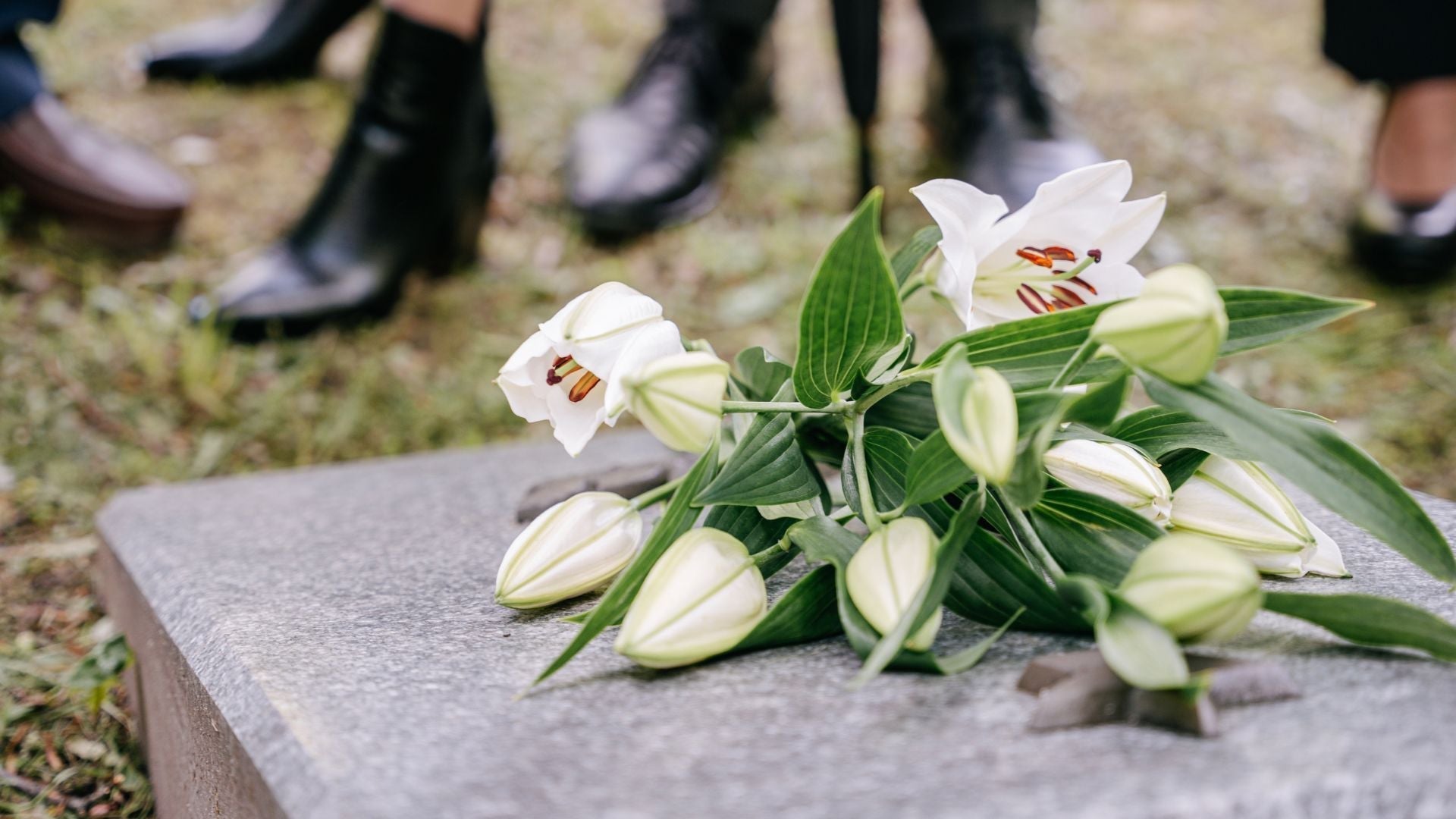 Can You Bury Cremated Remains? Cemetery Rules, Home Burial Tips, and W