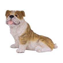 Fawn & White Coat English Bulldog Figurine Extra Large Pet Urn