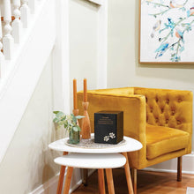 Black Marble Paws Print Inlay Extra Large Pet Cremation Urn - Lifestyle