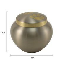Pewter Two Bronze Paw Print Medium Pet Cremation Urn - Dimensions