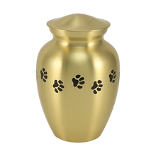 Classic Brass Paw Print Band Pet Large Cremation Urn
