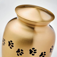 Classic Brass Paw Print Band Pet Medium Cremation Urn - Artistic