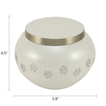 Classic Round Pearl Paw Band Large Pet Cremation Urn - Dimensions