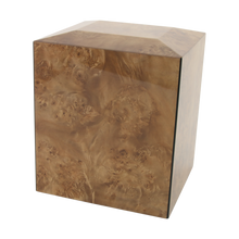 Geometric Natural with Divider Companion Urn