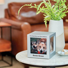 Silver Photo Cube Large Pet Cremation Urn - Lifestyle