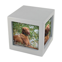 Silver Photo Cube Large Pet Cremation Urn