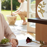 10 Meaningful Things to Do With Cremation Ashes (Beyond a Traditional Urn) - Funeral.com, Inc.
