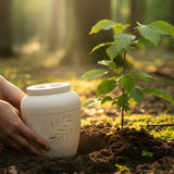 Biodegradable Urns: How They Work, Types for Water or Ground Burial, and Where to Buy Eco-Friendly Options