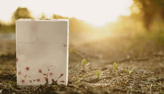 Eco-Friendly Cremation Urns: Honoring Your Loved One and the Environment