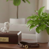 Grieving the Loss of a Dog: Why Dog Bonds Run So Deep