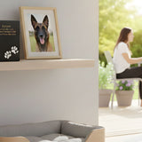 Navigating Grief: Understanding the Stages of Pet Loss