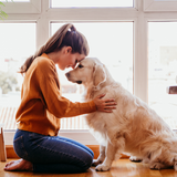 Saying Goodbye: How to Prepare for the Death of an Aging Pet