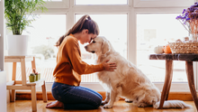 Saying Goodbye: How to Prepare for the Death of an Aging Pet