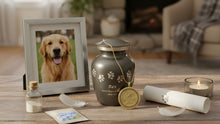 What to Do With Your Pet’s Ashes: Meaningful Memorial Ideas (Urns, Jewelry, Scattering & More)