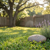 A Helpful Guide on How to Bury a Pet in Your Backyard Legally
