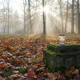 All Souls’ Day Explained: Meaning, Date, Traditions & Ways to Remember Loved Ones