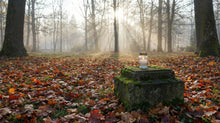 All Souls’ Day Explained: Meaning, Date, Traditions & Ways to Remember Loved Ones