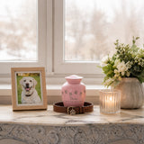 Alternatives to an Urn: Creative, Affordable Options for Cremation Ashes