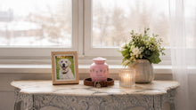 Alternatives to an Urn: Creative, Affordable Options for Cremation Ashes