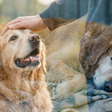 Anticipatory Grief: Why You’re Mourning Before They Are Gone