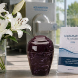 Aquamation (Water Cremation) in Alabama (2026): Legal Status, Providers & Costs