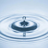 Aquamation (Water Cremation) in Tennessee (2026): Legal Status, Providers & Costs - Funeral.com, Inc.
