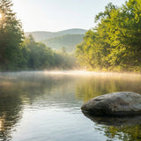 Aquamation (Water Cremation) in Vermont (2026): Legal Status, Providers &amp; Costs - Funeral.com, Inc.