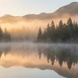 Aquamation (Water Cremation) in Washington (2026): Legal Status, Providers &amp; Costs - Funeral.com, Inc.