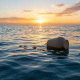 Are Cremation Ashes Bad for the Environment? Scattering at Sea, Soil, and Best Practices - Funeral.com, Inc.