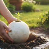 Are Cremation Ashes Biodegradable? What They’re Made Of and How Biodegradable Urns Really Work - Funeral.com, Inc.