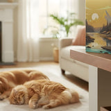 Ash Storage Safety: Humidity, Heat, and Pets - Funeral.com, Inc.