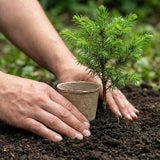 Atheism and Pet Loss: Finding Comfort Without an Afterlife