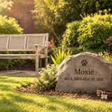 Backyard Pet Burial: Laws, Recommended Depth, and How to Check Your Local Rules
