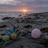 Balloon Releases: Environmental Harm, Wildlife Risk, and Memorial Ideas That Don’t Create Litter - Funeral.com, Inc.