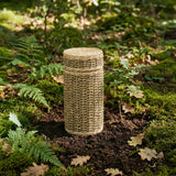 Biodegradable Urns Explained: Types, How They Work, and When to Choose One