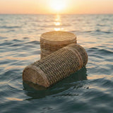 Biodegradable Urns for Ashes: Types, Burial Options & How Long They Last