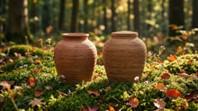 Biodegradable Urns for Land Burial: Best Materials for Green Burial and Tree Memorials - Funeral.com, Inc.