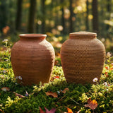 Biodegradable Urns for Land Burial: Best Materials for Green Burial and Tree Memorials