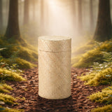 Biodegradable Urns & Living Urns: How They Work, Costs, and What to Expect