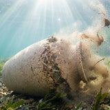 Biodegradable Water Urns for Ashes: How They Float, Sink, and Dissolve (Plus Top Options) - Funeral.com, Inc.