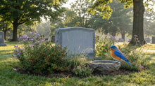 Bird-Friendly Burial: Creating Habitat at a Grave With Native Plants and Safe Design - Funeral.com, Inc.