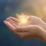 Birds as Symbols of the Soul: Meaning, Hope, and Why Robins Feel Comforting in Grief - Funeral.com, Inc.