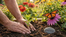 Butterfly Memorial Gardens: Host Plants, Nectar Plants, and Simple Layout Ideas - Funeral.com, Inc.