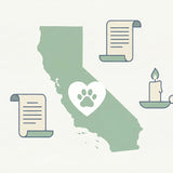California Pet Cremation Guide: Laws, Costs & Options