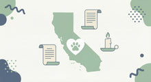 California Pet Cremation Guide: Laws, Costs & Options