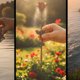 Can You Scatter Ashes More Than Once? Dividing for Multiple Places - Funeral.com, Inc.