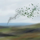 Carbon Offsetting for Funerals: How to Offset Cremation and Travel Emissions Without Greenwashing - Funeral.com, Inc.