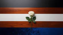 Casket Color Meanings: How to Choose a Color That Honors Your Loved One - Funeral.com, Inc.