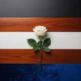 Casket Color Meanings: How to Choose a Color That Honors Your Loved One