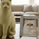Cat Urn Size Guide: How to Choose the Right Capacity (By Weight) - Funeral.com, Inc.